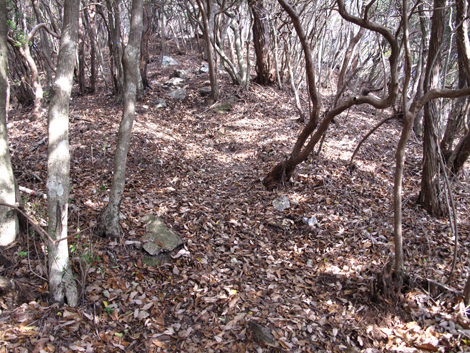 20131124hike (137)